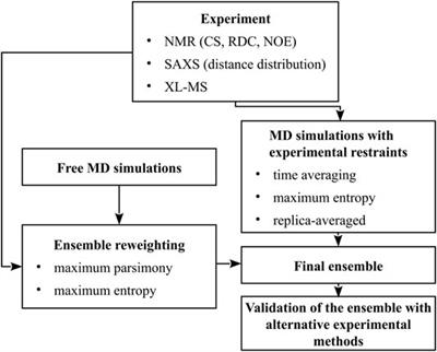 Recent Developments in Data-Assisted Modeling of Flexible Proteins